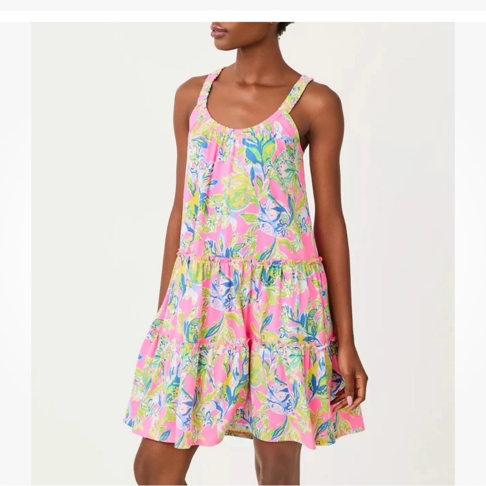 NWT XL Lilly Pulitzer Loro swing dress in squeeze the day